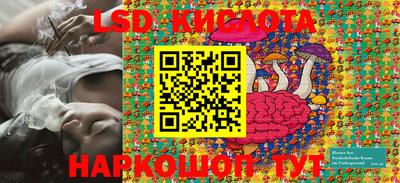 apvp Кимры