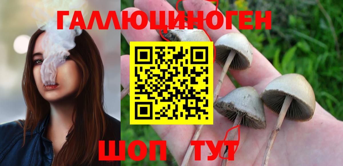Курган  Галлюциногенные грибы MAGIC MUSHROOMS  Псилоцибиновые грибы Cubensis  Вход с VPN 