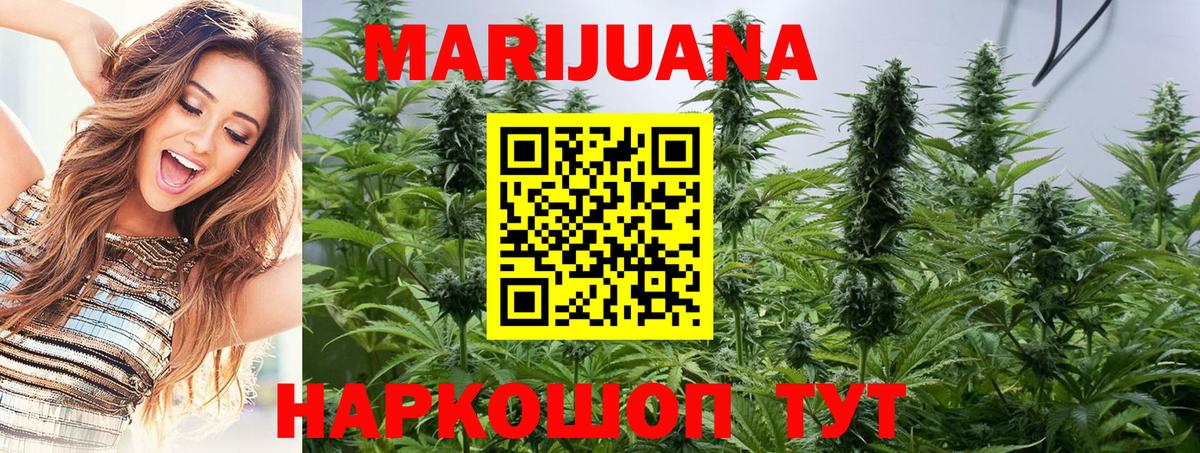 Курган  Канабис марихуана  Канабис OG Kush  Вход с VPN  Канабис сатива 